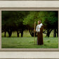 Lord Of The Vineyard