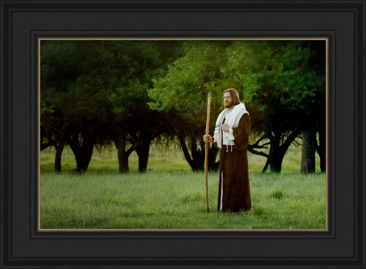 Lord Of The Vineyard