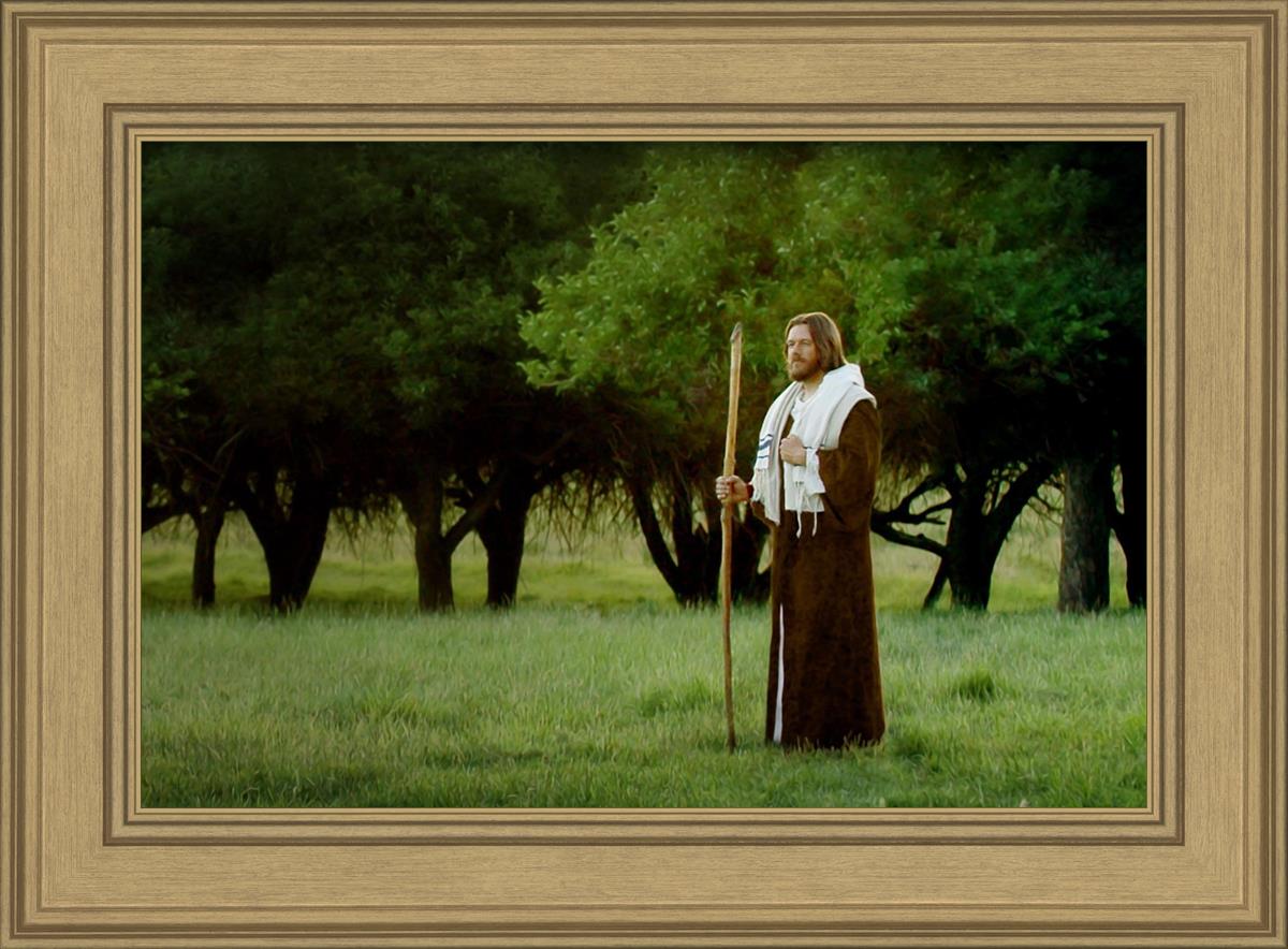 Lord Of The Vineyard