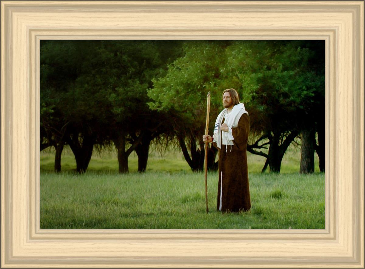 Lord Of The Vineyard