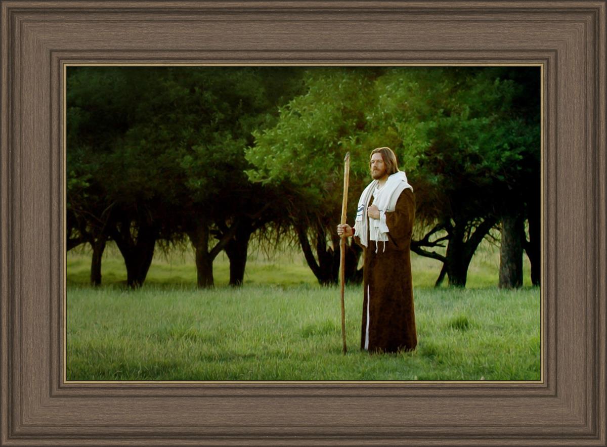 Lord Of The Vineyard