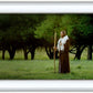 Lord Of The Vineyard