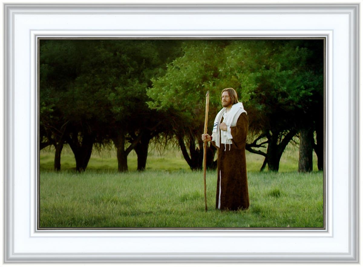 Lord Of The Vineyard
