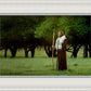 Lord Of The Vineyard