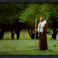 Lord Of The Vineyard