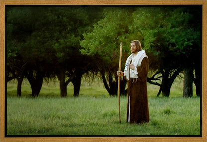 Lord Of The Vineyard