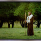 Lord Of The Vineyard
