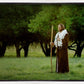 Lord Of The Vineyard