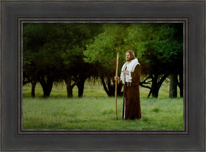 Lord Of The Vineyard