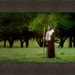 Lord Of The Vineyard
