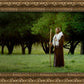 Lord Of The Vineyard