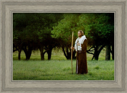 Lord Of The Vineyard