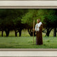 Lord Of The Vineyard
