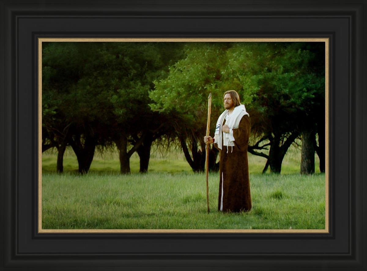 Lord Of The Vineyard