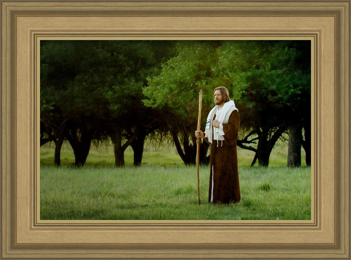 Lord Of The Vineyard