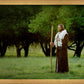 Lord Of The Vineyard