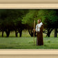 Lord Of The Vineyard