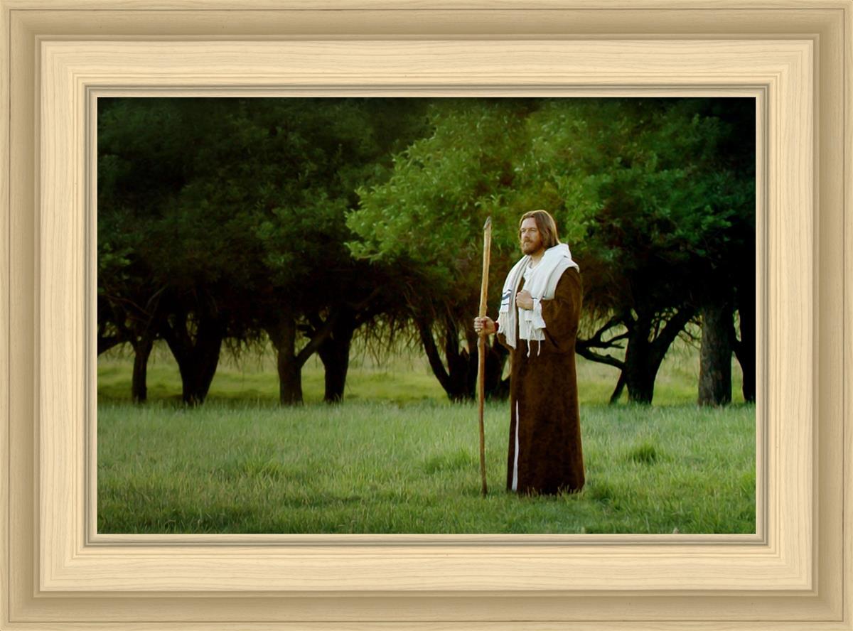 Lord Of The Vineyard