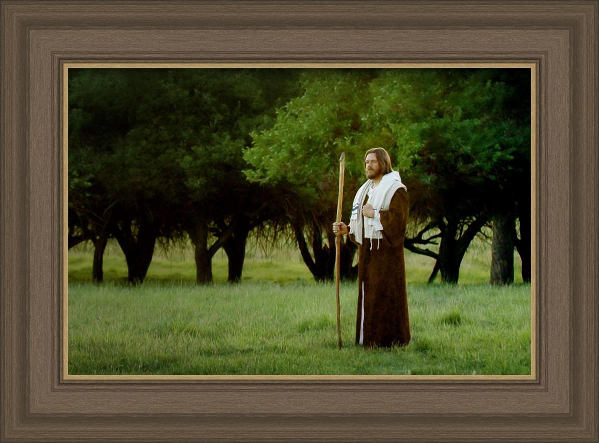 Lord Of The Vineyard
