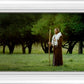 Lord Of The Vineyard