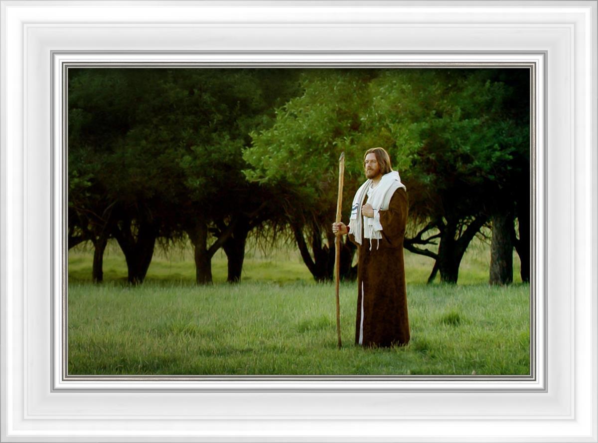 Lord Of The Vineyard