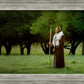 Lord Of The Vineyard