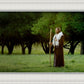 Lord Of The Vineyard