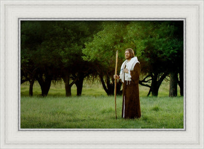 Lord Of The Vineyard