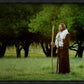 Lord Of The Vineyard