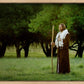 Lord Of The Vineyard