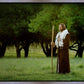 Lord Of The Vineyard