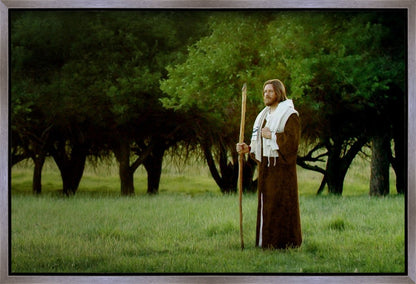 Lord Of The Vineyard