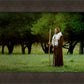 Lord Of The Vineyard