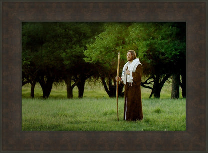 Lord Of The Vineyard