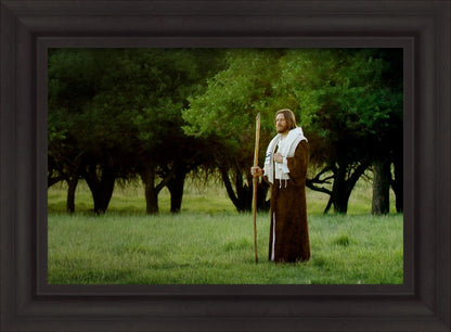 Lord Of The Vineyard