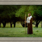 Lord Of The Vineyard