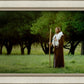 Lord Of The Vineyard