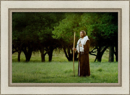 Lord Of The Vineyard