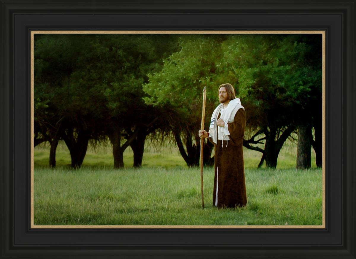Lord Of The Vineyard