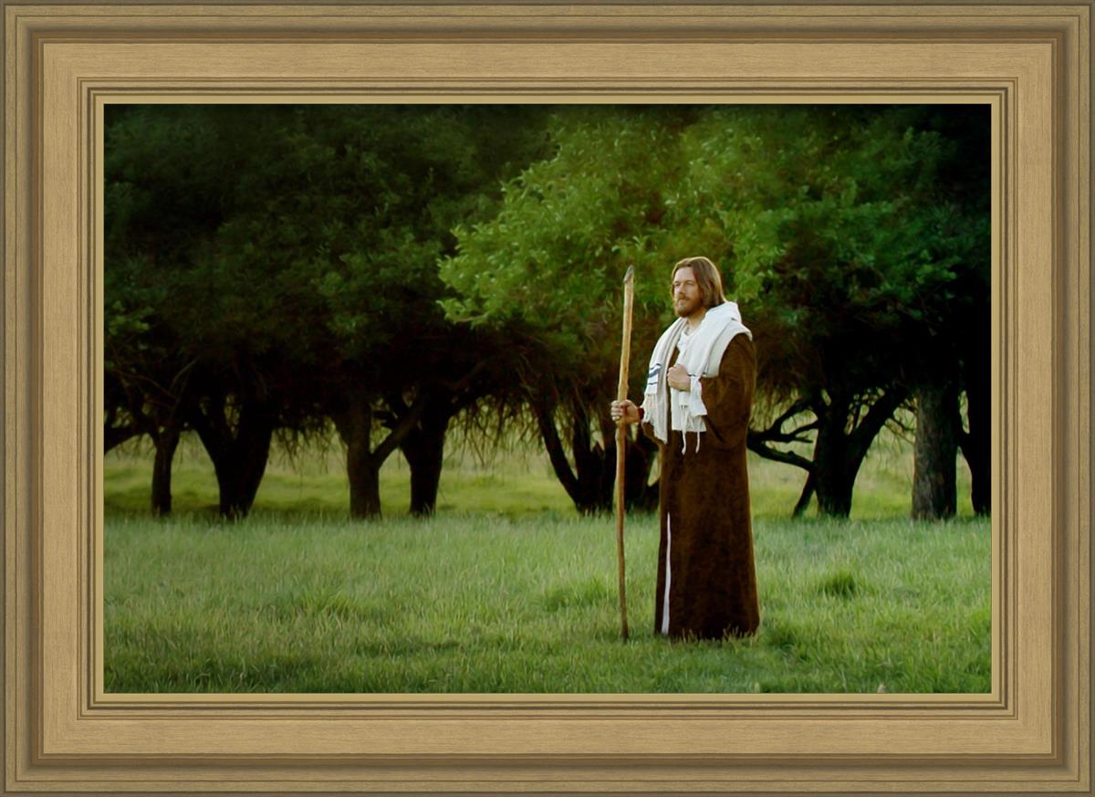 Lord Of The Vineyard