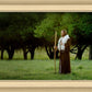 Lord Of The Vineyard