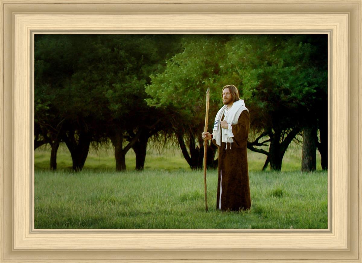 Lord Of The Vineyard