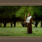 Lord Of The Vineyard