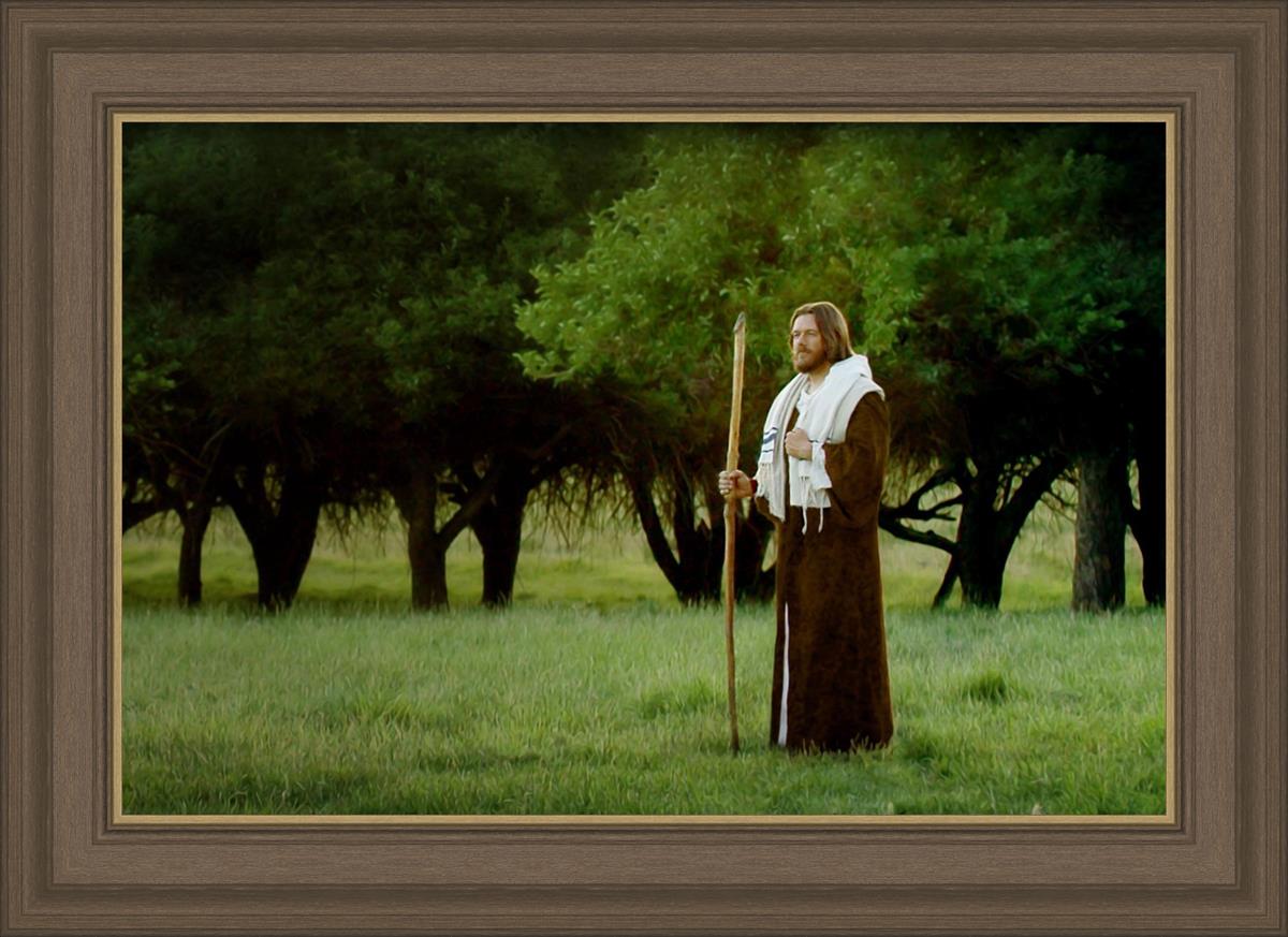 Lord Of The Vineyard
