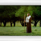 Lord Of The Vineyard