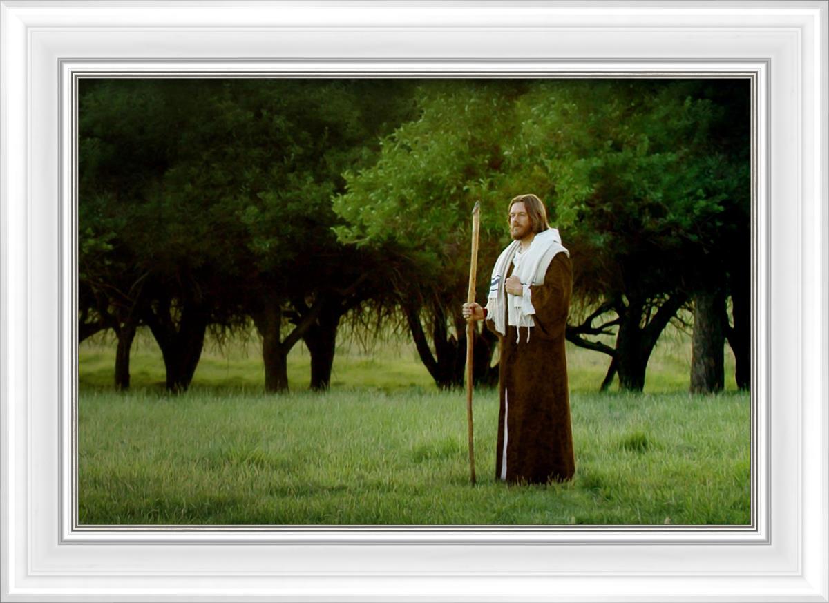 Lord Of The Vineyard