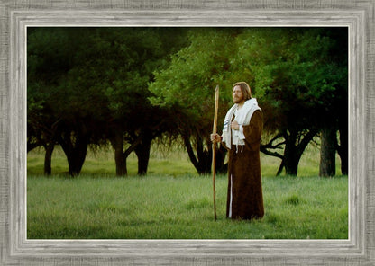 Lord Of The Vineyard