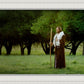 Lord Of The Vineyard