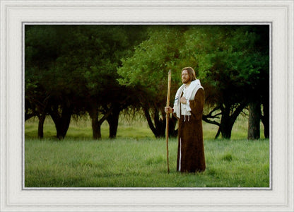 Lord Of The Vineyard