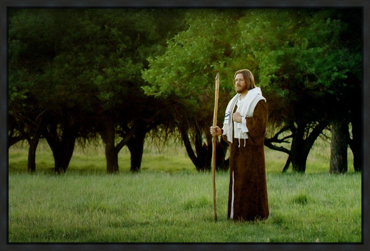 Lord Of The Vineyard Gallery Wrap